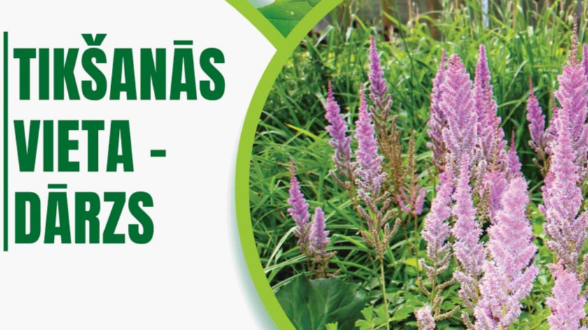 Aicina piedalīties projektā "Tikšanās vieta - dārzs"