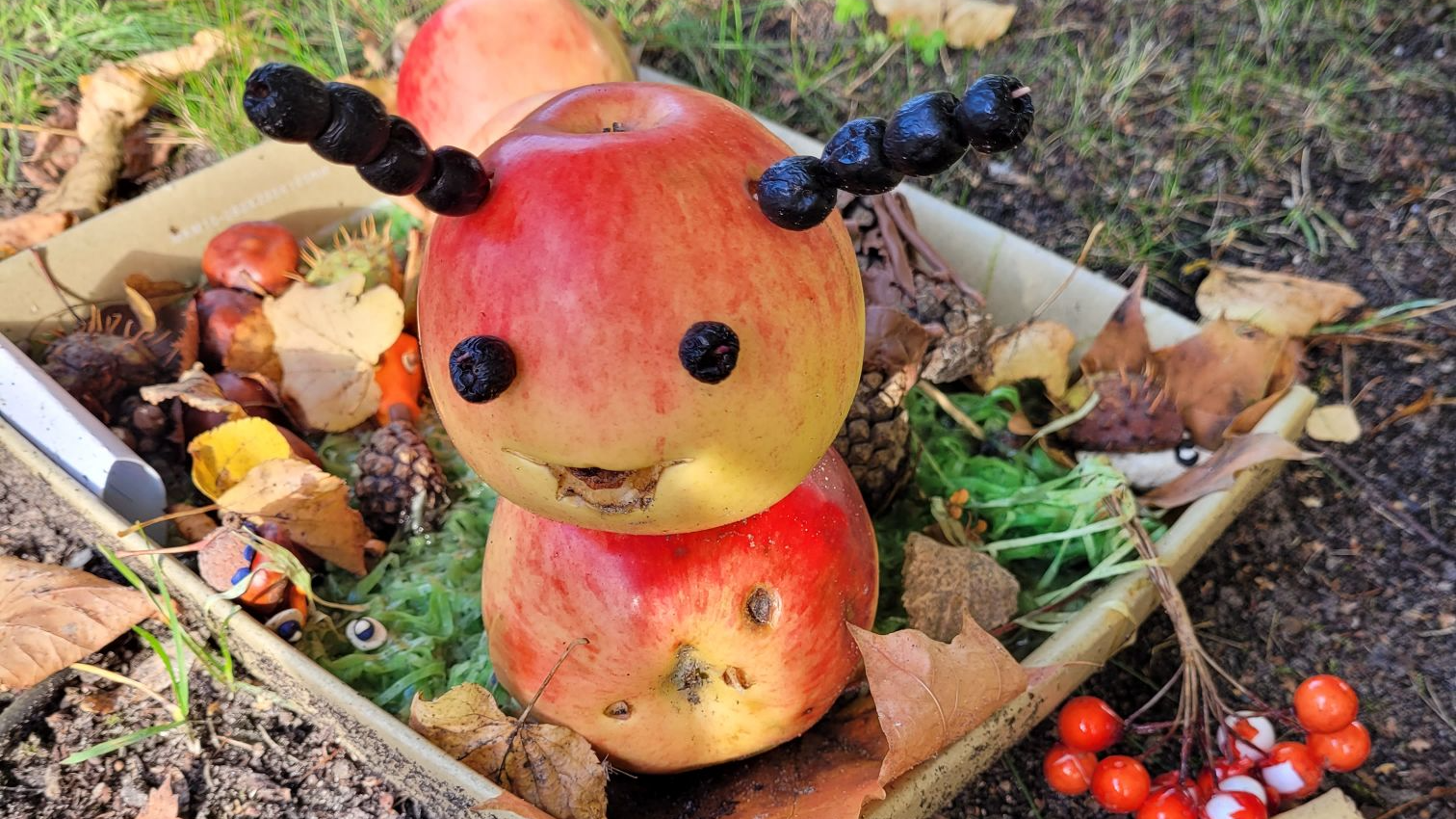 Rudens dārzeņu izstāde “Rudentiņš bagāts vīrs” 