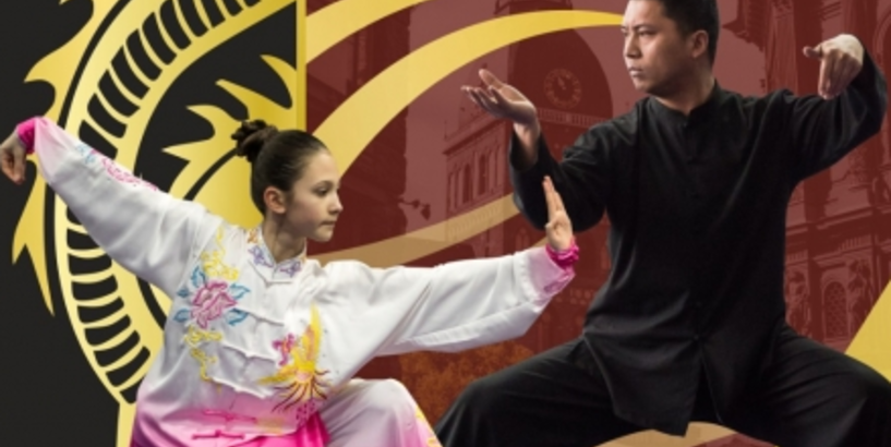 Atklātais Rīgas u-šu kauss