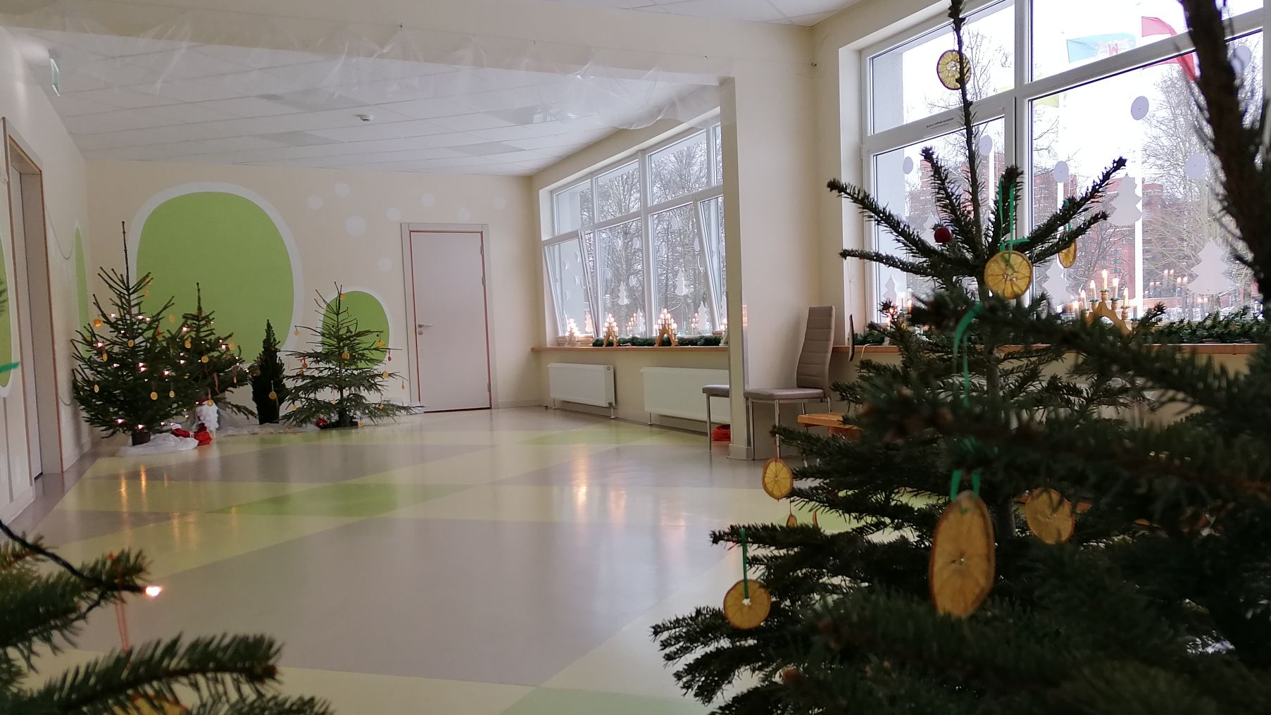 “Kurzemes” egļu mežā