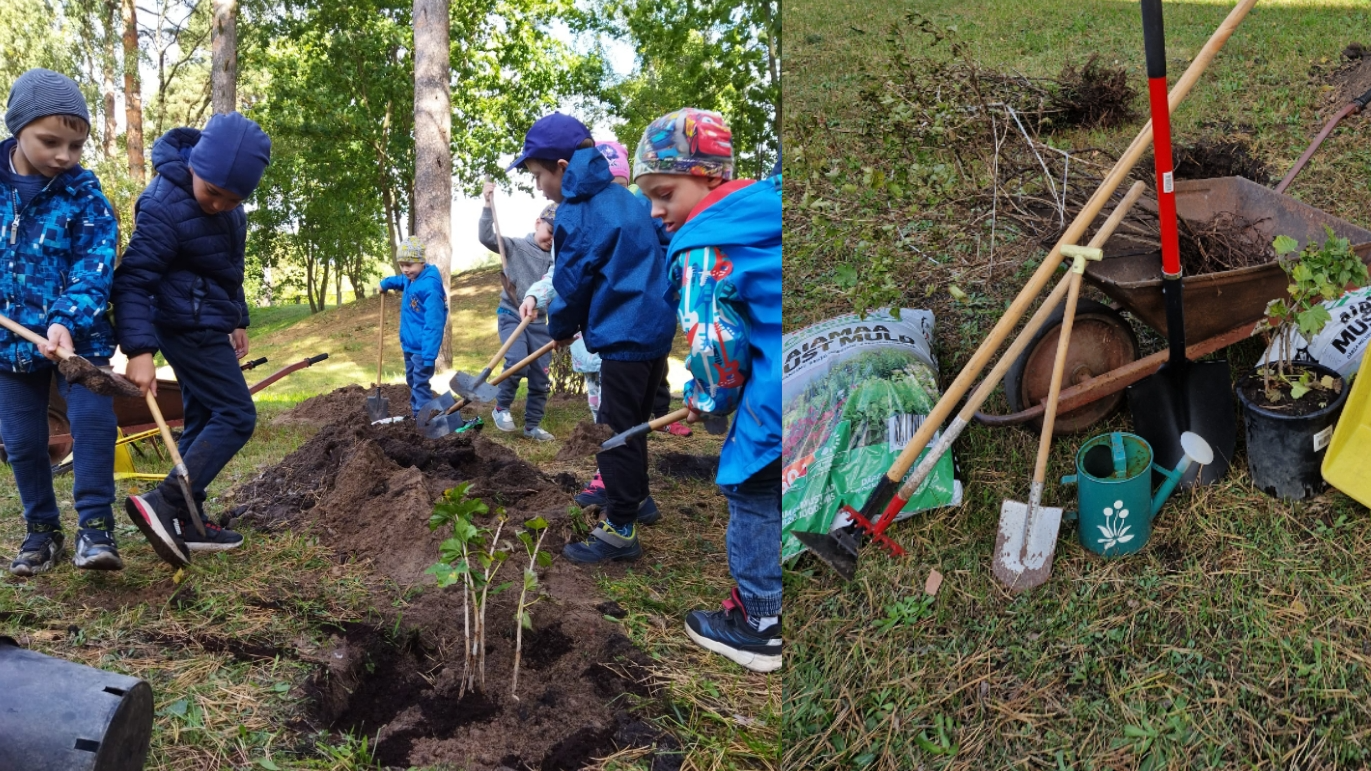 Rīgas 232. pirmsskolas izglītības iestādes projekta “Ogu laiks” kulminācija