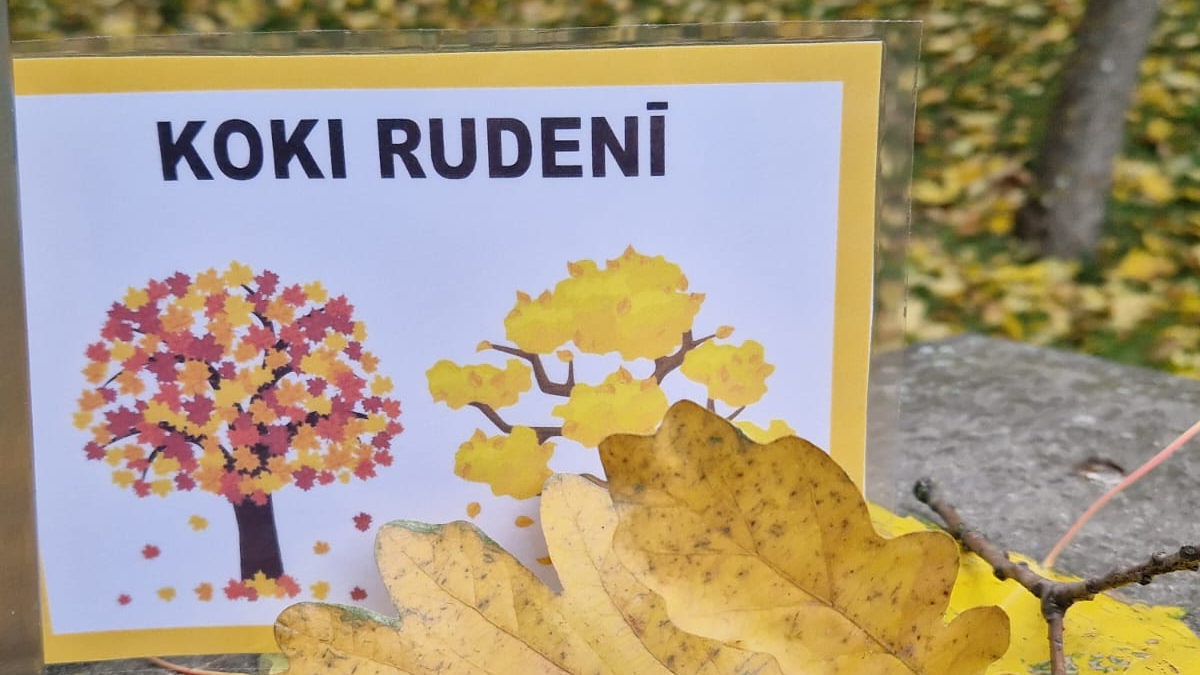 Koku izmaiņas rudens periodā