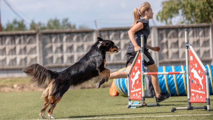 Starptautiskajās suņu sporta – adžiliti - sacensības “Rīgas Kauss 2020” 