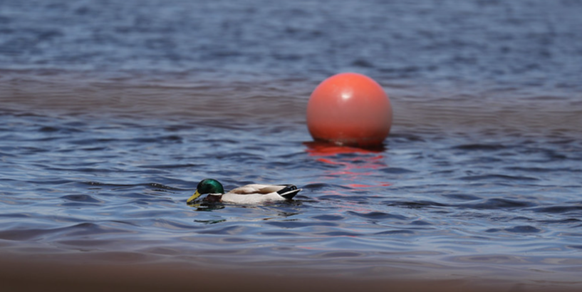 Rīgā aizliegts peldēties peldvietā “Rumbula” 
