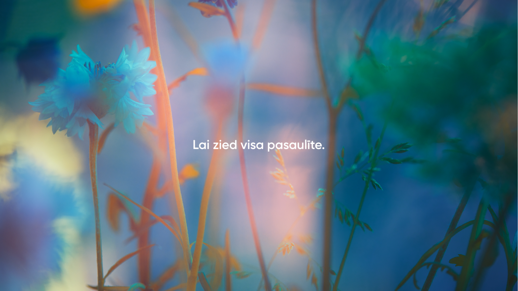 Lai zied visa pasaulīte