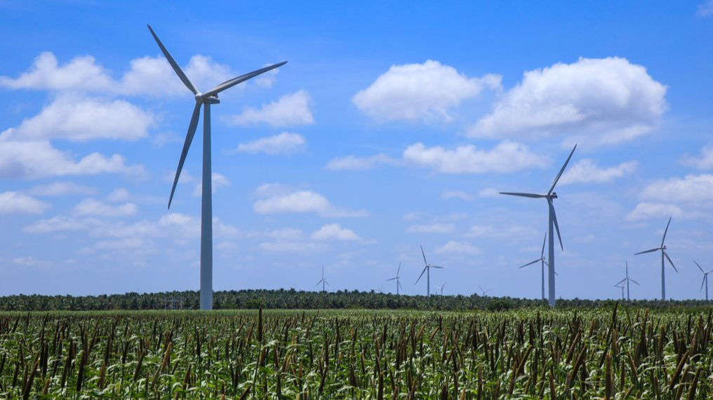 Bērniem latviešu valodā pieejama bilžu grāmata par vēja enerģiju
