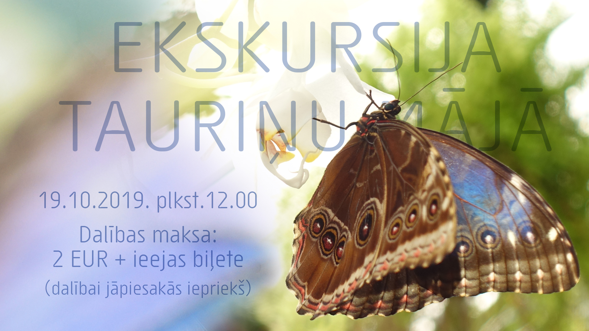 Tropu tauriņu mājas sezonas noslēguma ekskursija 