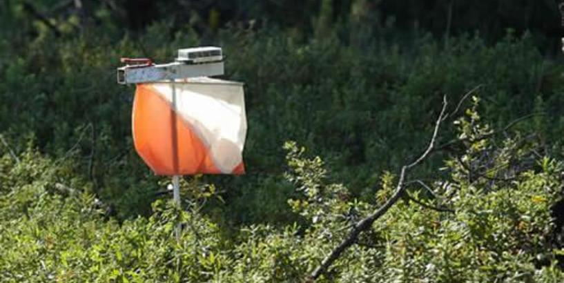 Publicēts jūlija orientēšanās sacensību "Magnets" kalendārs