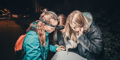 20 pilsētās ir aizvadīta Latvijas orientēšanās nakts