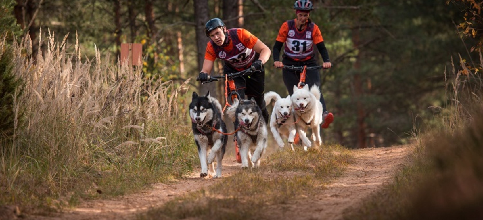 Lieliski aizvadīts PK posms kamanu suņu sportā un “Latvian Open” ar 6 valstu dalību