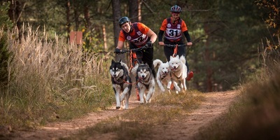 Lieliski aizvadīts PK posms kamanu suņu sportā un “Latvian Open” ar 6 valstu dalību