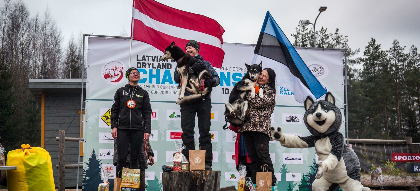 Pasaules kausa posmā kamanu suņu sportā Latvijai četras uzvaras